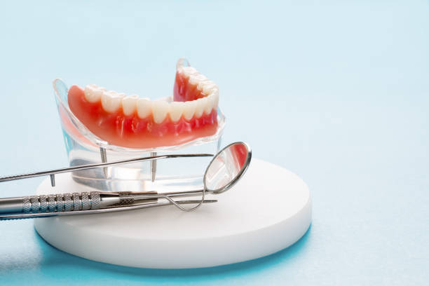 Best Tooth Extraction  in St Petersburg, FL