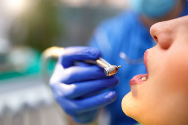 Best Dental Exams and Cleanings  in St Petersburg, FL